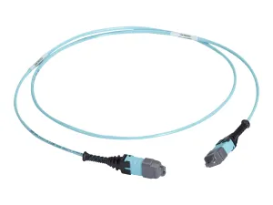 Black Box - Trunk cable - MTP/MPO type A multi-mode to MTP/MPO type A multi-mode - 15 m - 0.1 in - fiber optic - OM3 - OFNP - FOTC20M3MP12AQ-15R2