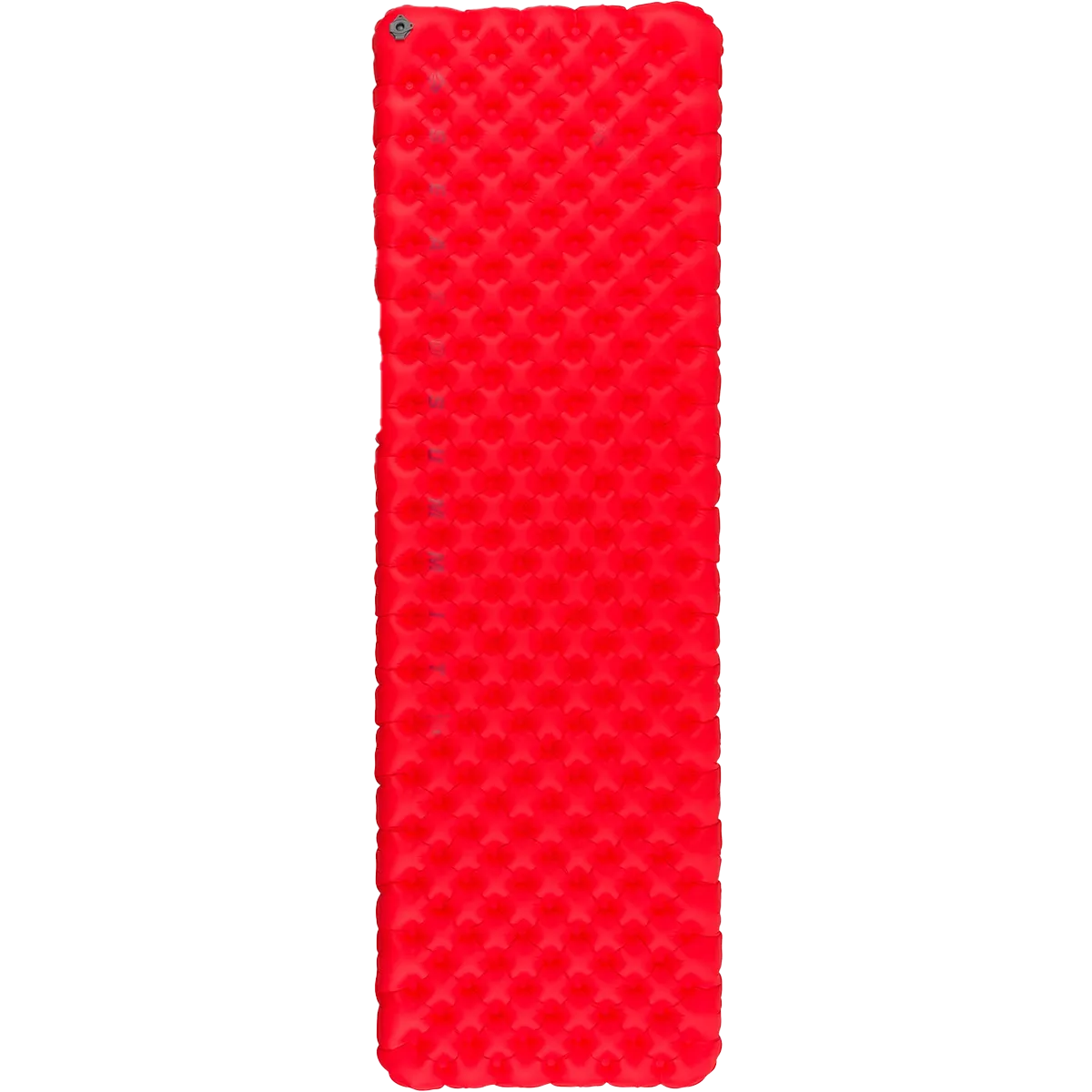 Comfort Plus XT Insulated Large